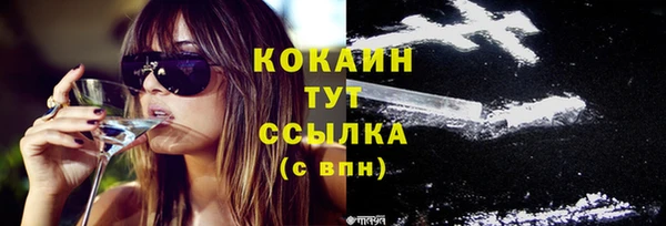 соль курить ск Новодвинск