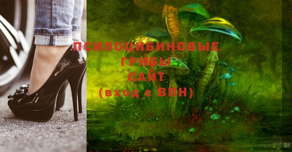 соль курить ск Новодвинск
