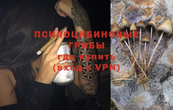 соль курить ск Новодвинск